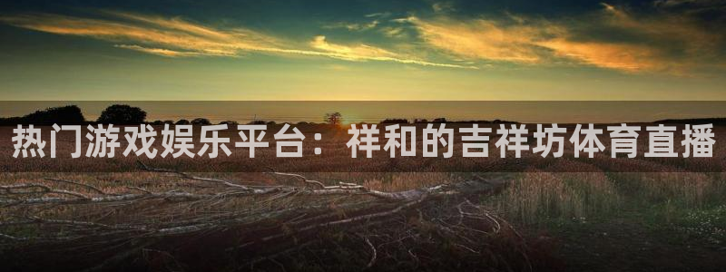 热门游戏娱乐平台：祥和的吉祥坊体育直播