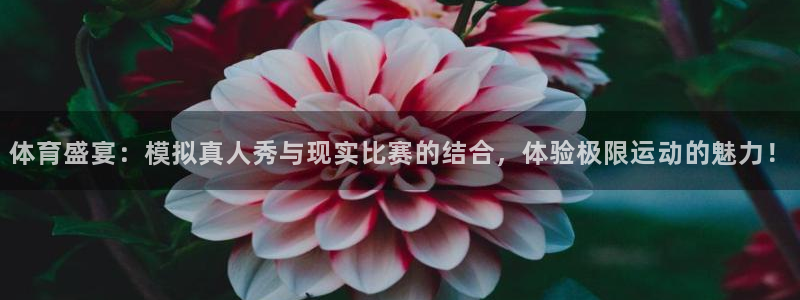 体育盛宴：模拟真人秀与现实比赛的结合，体验极限运动的魅力！