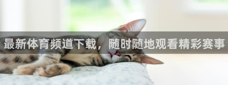 最新体育频道下载，随时随地观看精彩赛事