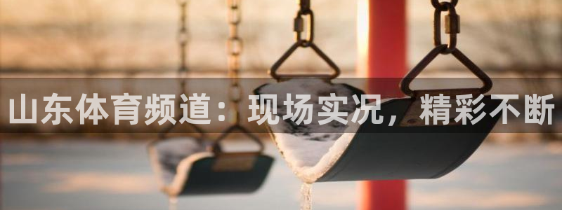 山东体育频道：现场实况，精彩不断