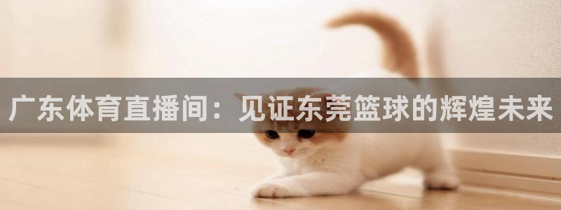 广东体育直播间：见证东莞篮球的辉煌未来