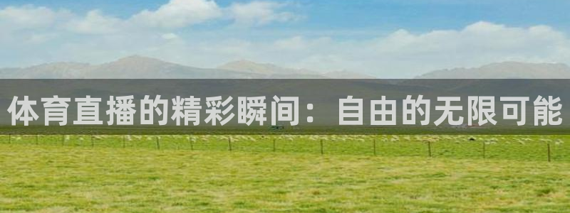 体育直播的精彩瞬间：自由的无限可能