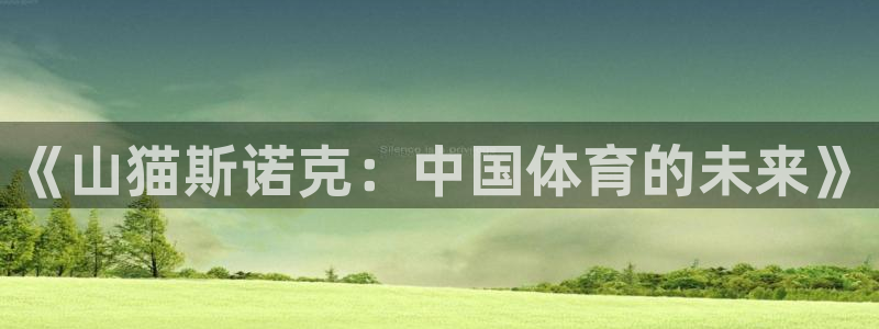 《山猫斯诺克：中国体育的未来》