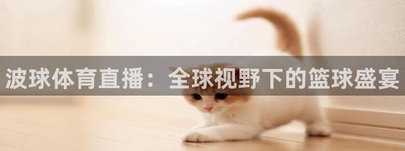 波球体育直播：全球视野下的篮球盛宴