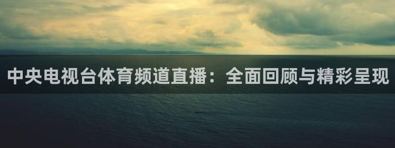 中央电视台体育频道直播：全面回顾与精彩呈现