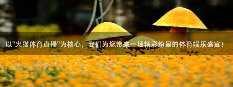 以\