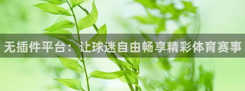 无插件平台：让球迷自由畅享精彩体育赛事