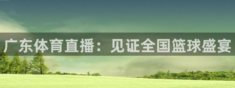 广东体育直播：见证全国篮球盛宴