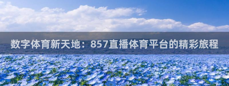 数字体育新天地：857直播体育平台的精彩旅程
