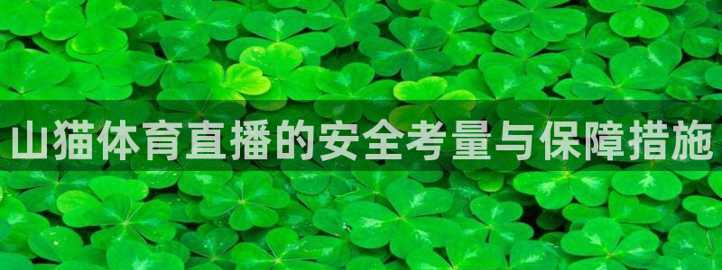 山猫体育直播的安全考量与保障措施